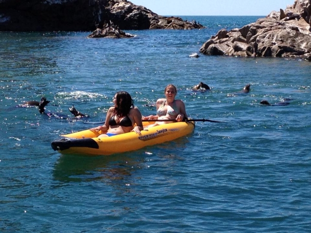 Kayaks y leones marinos